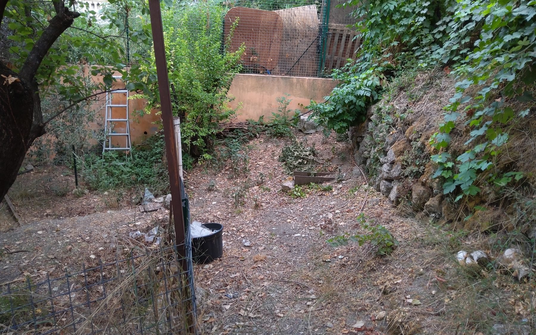 Partie arrière du terrain avec murs de pierre et végétation à Villa La Treille